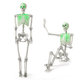 5.5ft Life-Size Pre-Lit Halloween Skeleton (Color: White)